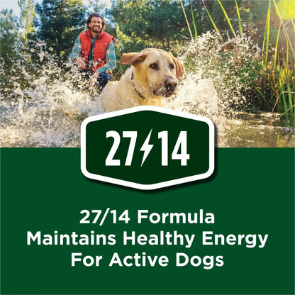 Purina Dog chow