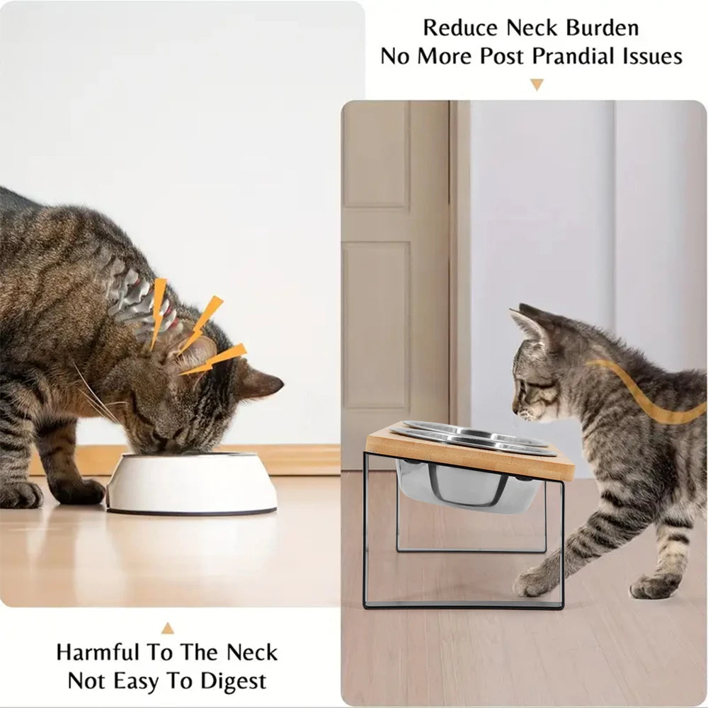 Elevated Cat Bowls 15°