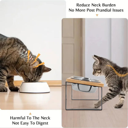 Elevated Cat Bowls 15°