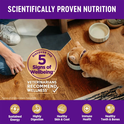 Natural Salmon Recipe  High-Protein